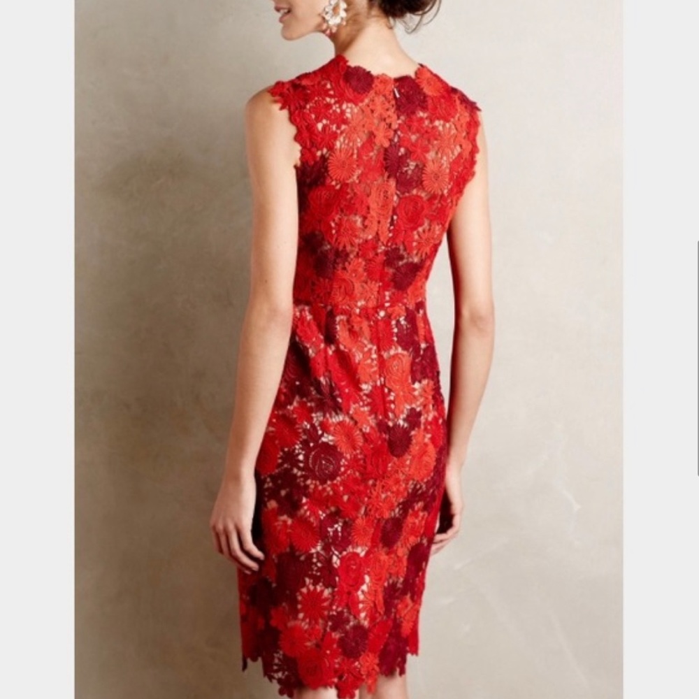 Anthropologie HD in Paris Red Lace Sheath Dress  size 6p